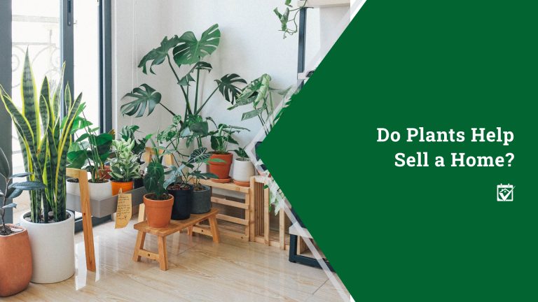 Do Plants Help Sell a Home?